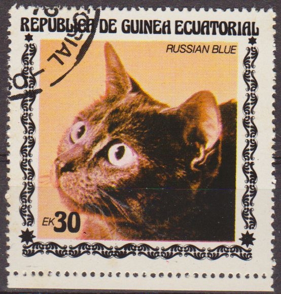 z vendido Guinea Ecuatorial 1976 Sello * Fauna Animales 05 Gato Russian Blue 30ek Guinée Equatoriale Preobliteré Matasello de favor Preobliterado 